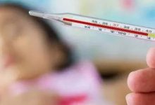 案例分享:小孩高燒40°、手麻腿麻調理案例-七不姜 生姜養生網-明德CSA生態姜園&明安農業