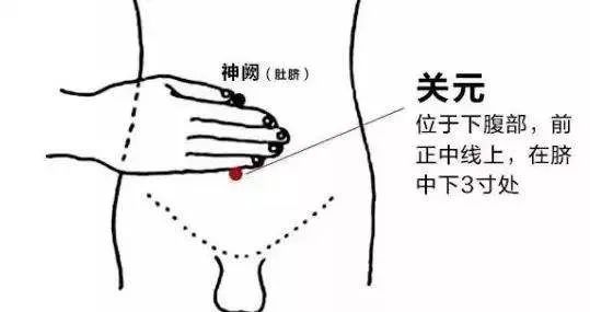 秋后培補元氣，這個穴位是大補！