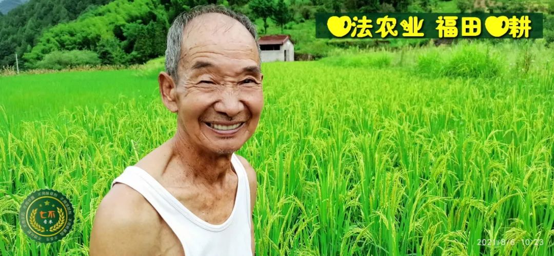 七不水稻即將上市-2021年新米預定月購限時特惠  家庭七不大米/紅米 紅皮大米/糯米/ 黑米/泰兩優217/中浙優H7 宅配送