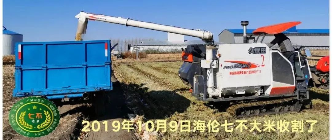 七不水稻即將上市-2021年新米預定月購限時特惠  家庭七不大米/紅米 紅皮大米/糯米/ 黑米/泰兩優217/中浙優H7 宅配送