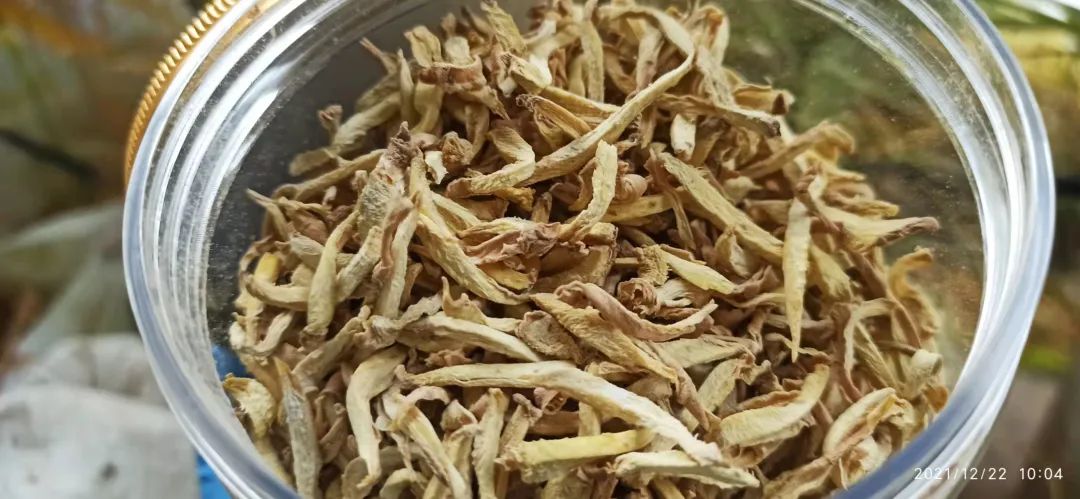 明安農業五月種七不水稻了。六月端午別忘吃粽子。買糯米要七不種植的...自然生態超越有機！七不姜優惠發劵
