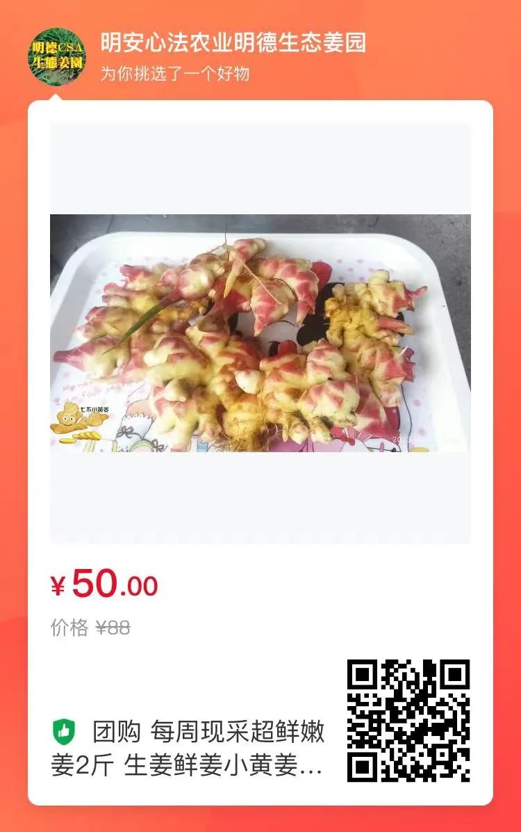 浙江仙居 七不小黃姜 鮮嫩姜 新鮮 超新上市 每周超鮮嫩姜2斤/5斤 生姜鮮姜2023年9月現采現發 生態自然 明安心法農業