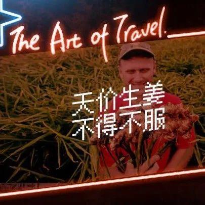 中國一抓一大把的生姜,國外都搶瘋了 2020-七不姜 生姜養生網-明德CSA生態姜園&明安農業