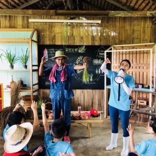 泰國Ginger Farm,30畝土地的親子農場天天客流爆滿!-七不姜 生姜養生網-明德CSA生態姜園&明安農業