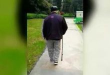 案例分享:69歲老人腦梗、腦萎縮,腦白質變性,高血壓案例-七不姜 生姜養生網-明德CSA生態姜園&明安農業