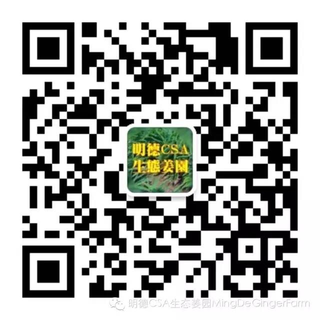 明安農業五月種七不水稻了。六月端午別忘吃粽子。買糯米要七不種植的...自然生態超越有機！七不姜優惠發劵