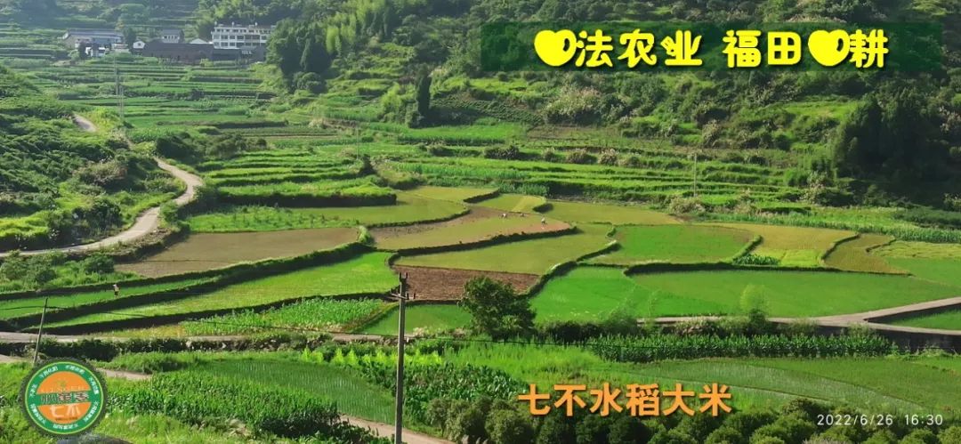 預定有禮-訂購大米送生姜。2022年秋收浙江仙居新米⑤紅秈米④黑米⑨勇優12粳米⑥糯米⑩香米華優18秈米 ⑾嘉豐優2號秈米 預定有禮-訂購大米送生姜。2022年秋收浙江仙居新米⑤紅秈米④黑米⑨勇優12粳米⑥糯米⑩香米華優18秈米 ⑾嘉豐優2號秈米