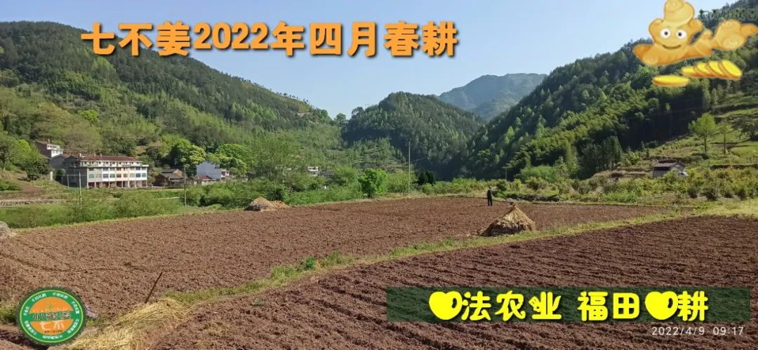 七不姜2022年四月春耕圖
