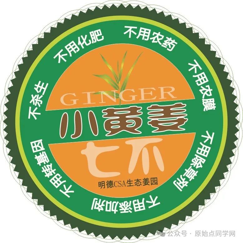 2022實作教學-如何給重病患者涂抹姜粉泥-七不姜 生姜養生網-明德CSA生態姜園&明安農業