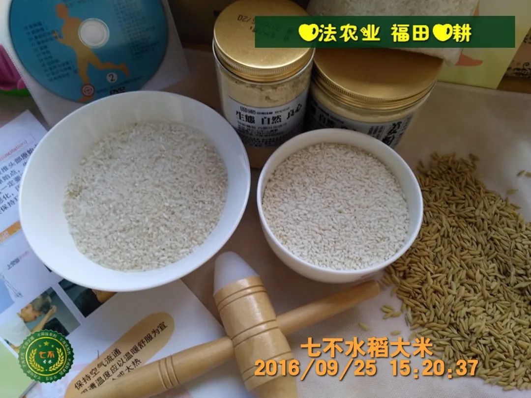 七不水稻即將上市-2021年新米預定月購限時特惠  家庭七不大米/紅米 紅皮大米/糯米/ 黑米/泰兩優217/中浙優H7 宅配送