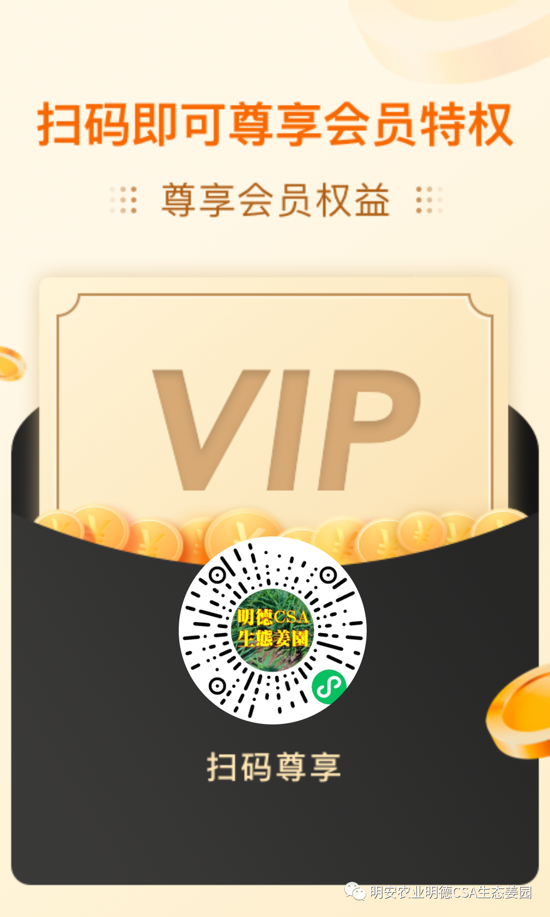 七不姜12月促銷優惠劵 成為七不姜店鋪粉絲了解更多優惠