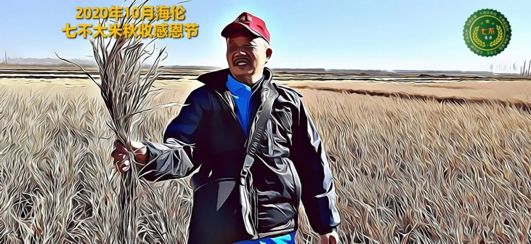 【海倫七不水稻秋收報恩健康行】海倫寒地黑土七不香稻秋收采風 2020.10.24