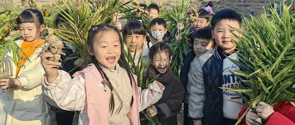 嗨,一起來“姜”快樂進行到底!-七不姜 生姜養生網-明德CSA生態姜園&明安農業