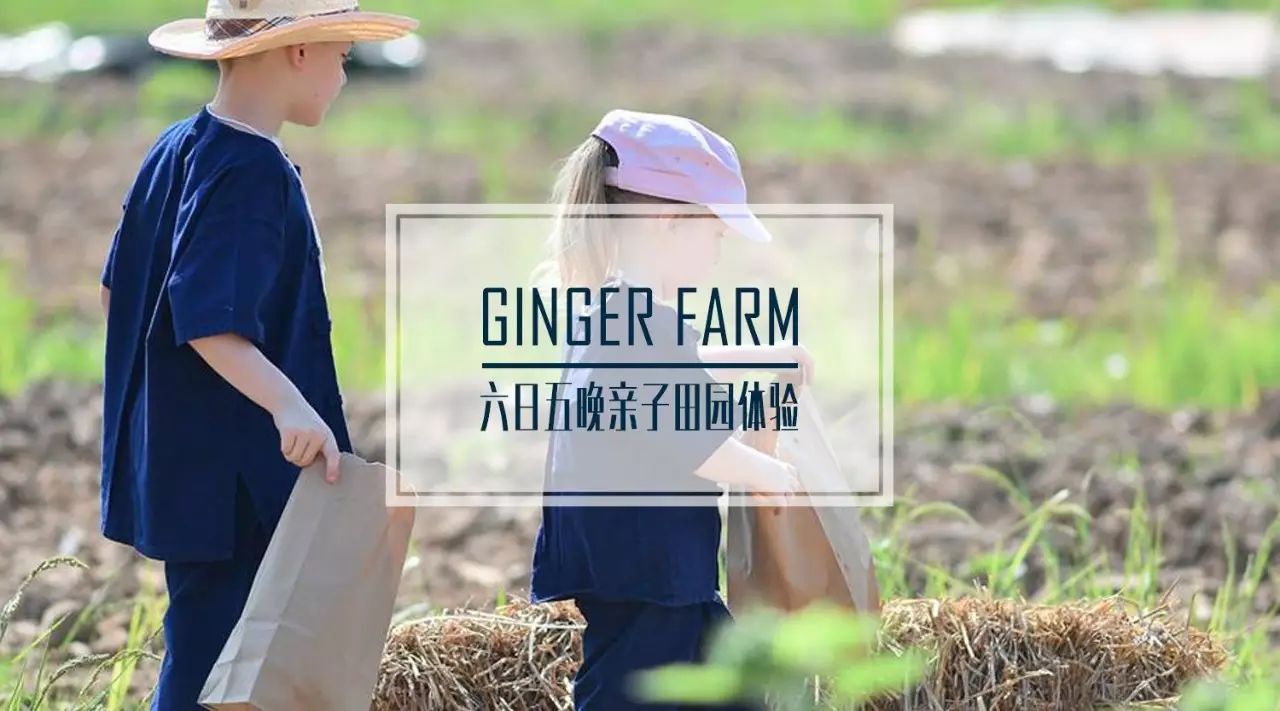 清邁 | 這家開業不久的親子農莊,太讓人動心。-七不姜 生姜養生網-明德CSA生態姜園&明安農業