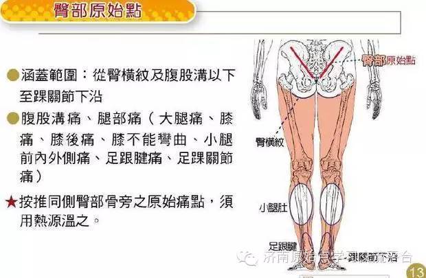 山東原始點：尿酸值高，痛風案例