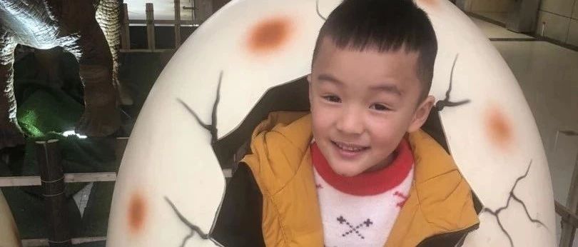 案例分享:原始點調理五歲孩子高燒不退案例-七不姜 生姜養生網-明德CSA生態姜園&明安農業