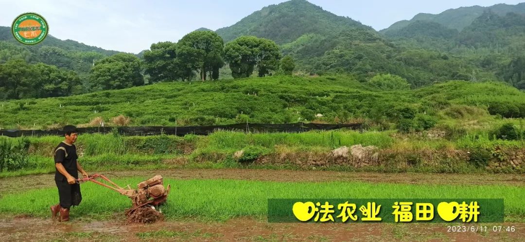 (●'?'●)6月慶祝春播春種順利完成！ 姜膏姜油 端午糯米 會員積分換購特惠 ，2023預售大米 會員折上折 6.18折