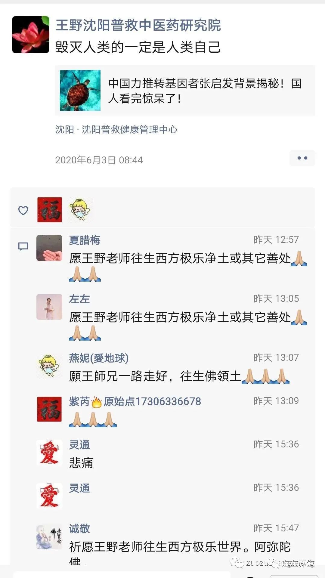 悼念大陸原始點巨星——王野老師