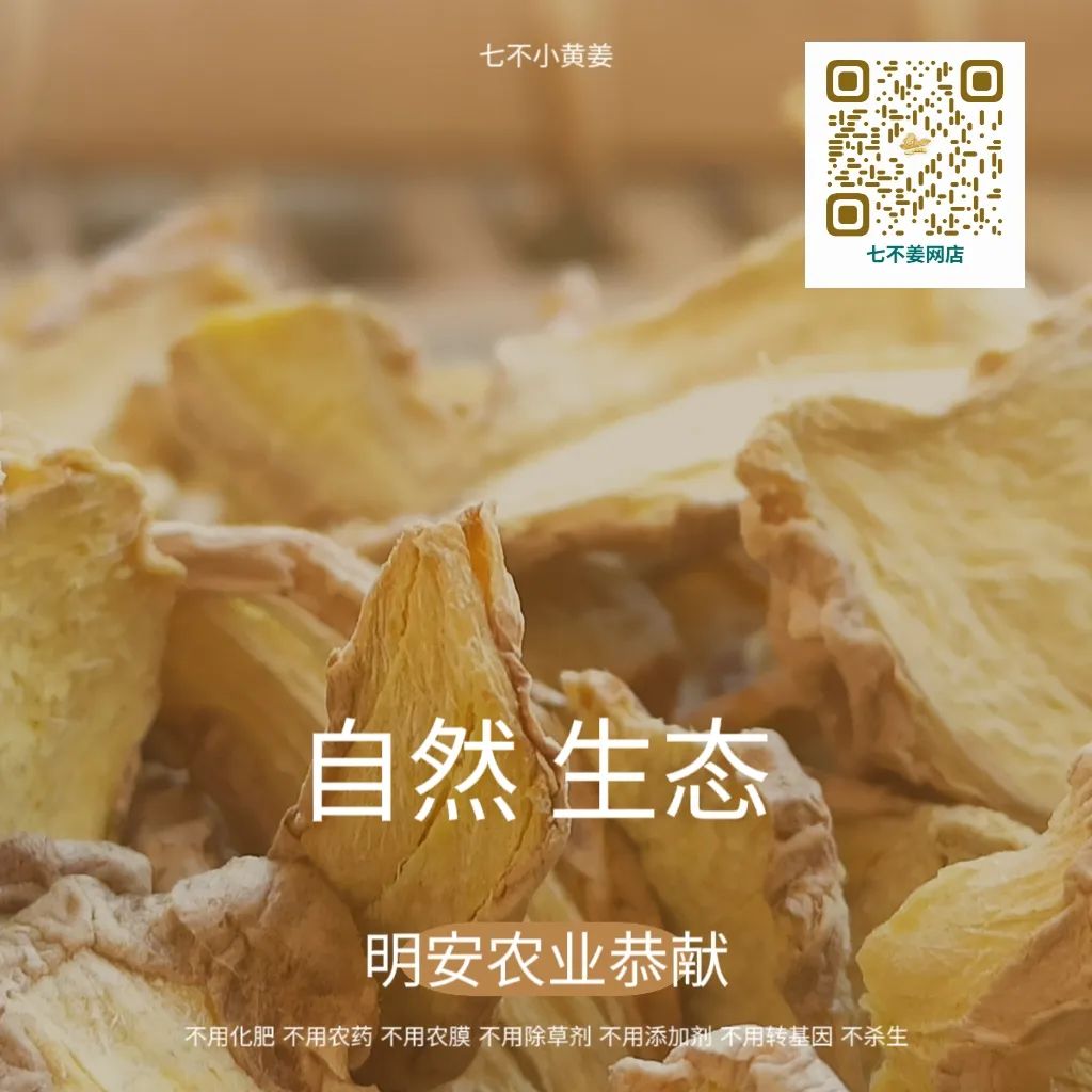 2024年新春福袋 七不姜全家福 禮裝 龍重登場′?` ?^?ω?^?