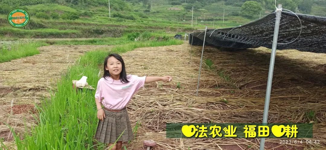 (●'?'●)6月慶祝春播春種順利完成！ 姜膏姜油 端午糯米 會員積分換購特惠 ，2023預售大米 會員折上折 6.18折