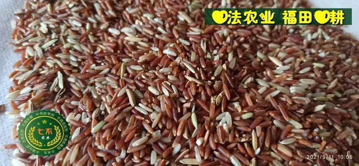 預定有禮-訂購大米送生姜。2022年秋收浙江仙居新米⑤紅秈米④黑米⑨勇優12粳米⑥糯米⑩香米華優18秈米 ⑾嘉豐優2號秈米 預定有禮-訂購大米送生姜。2022年秋收浙江仙居新米⑤紅秈米④黑米⑨勇優12粳米⑥糯米⑩香米華優18秈米 ⑾嘉豐優2號秈米