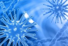 案例分享:癌癥要不要早發現早治療?-七不姜 生姜養生網-明德CSA生態姜園&明安農業