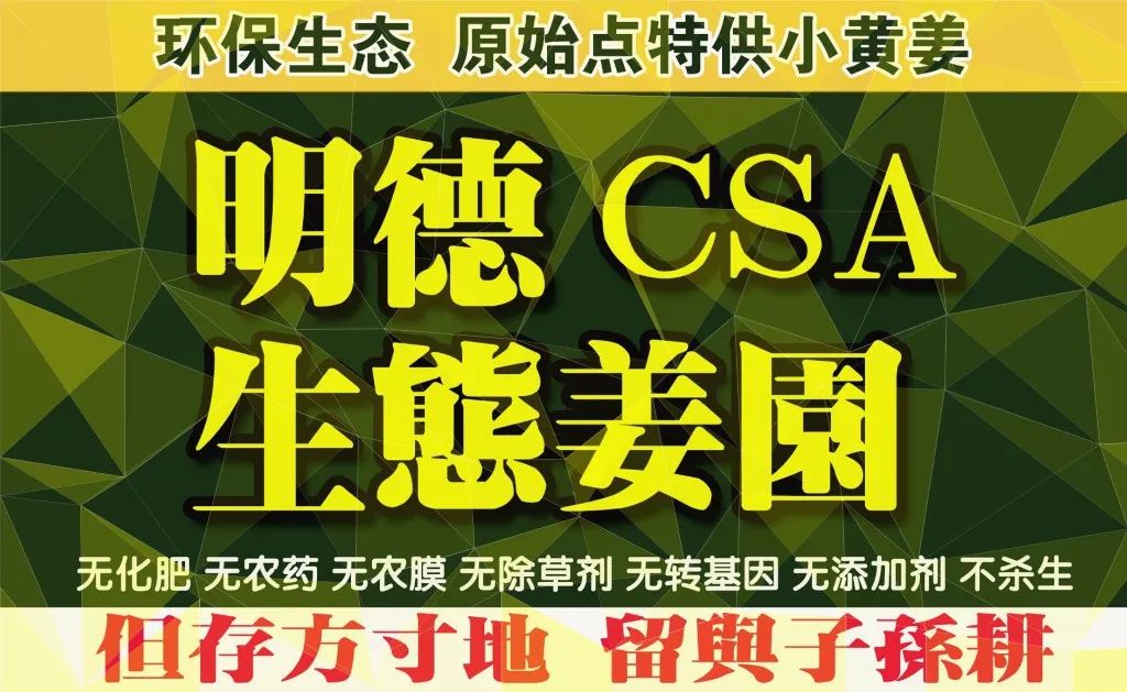 姜灌腸姜栓10粒 原始點熱源（姜湯姜粉泥灌腸的補充）熱源直達患處體傷 七不姜粉+栓劑基質輔料及生姜養生 姜的應用視頻集
