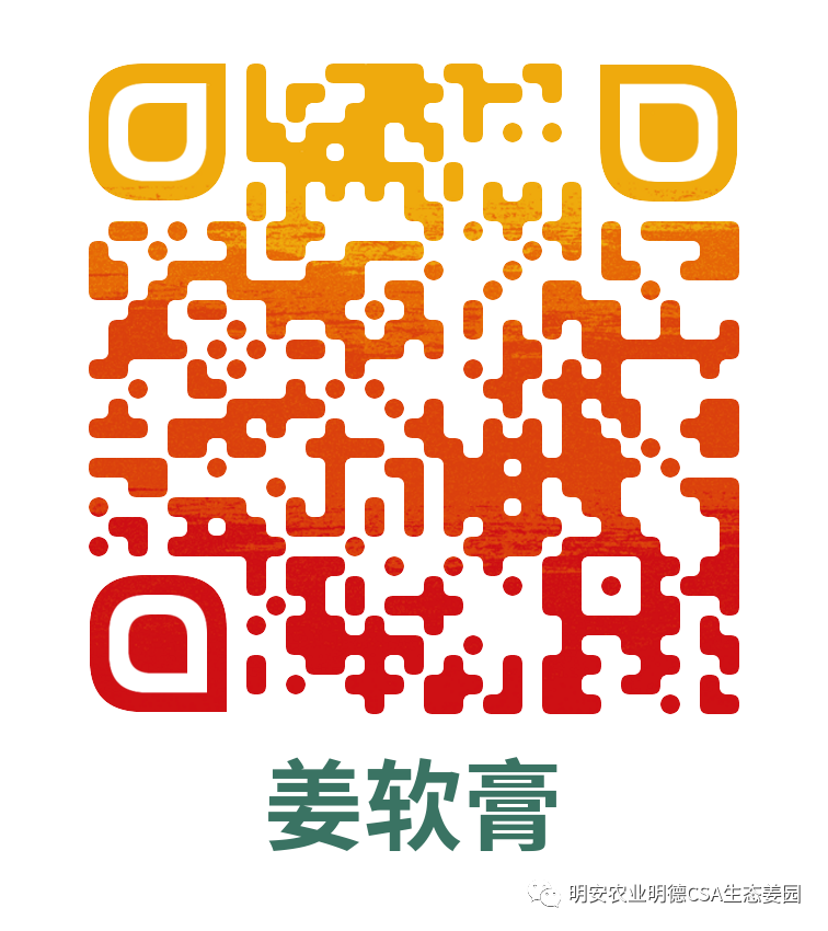 姜膏，姜軟膏的介紹 應用情景41個案例和研發2022年9月