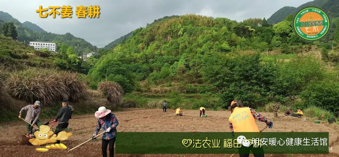 一年春作首 萬事行為先(●'?'●)4月春耕 防疫抗甲流 特惠折扣專場！繼續送世界名品