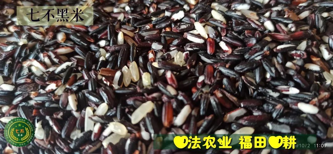 預定有禮-訂購大米送生姜。2022年秋收浙江仙居新米⑤紅秈米④黑米⑨勇優12粳米⑥糯米⑩香米華優18秈米 ⑾嘉豐優2號秈米 預定有禮-訂購大米送生姜。2022年秋收浙江仙居新米⑤紅秈米④黑米⑨勇優12粳米⑥糯米⑩香米華優18秈米 ⑾嘉豐優2號秈米