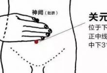 秋后培補元氣,這個穴位是大補!-七不姜 生姜養生網-明德CSA生態姜園&明安農業