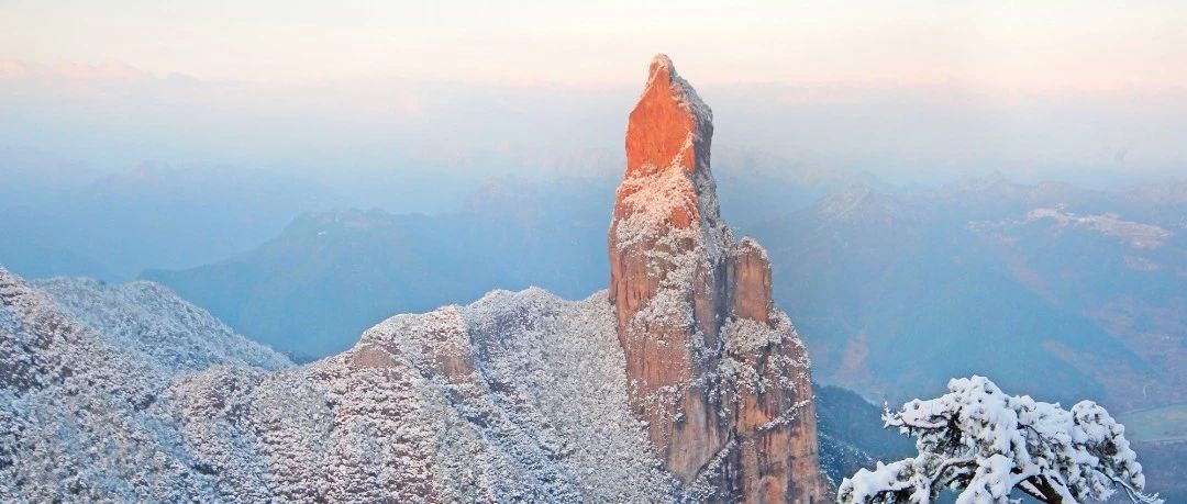 仙居仙景 | 想你的風還是吹到了仙居，“爾濱”老鐵們！看仙居給咱整點啥→-七不姜 生姜養生網-明德CSA生態姜園&明安農業