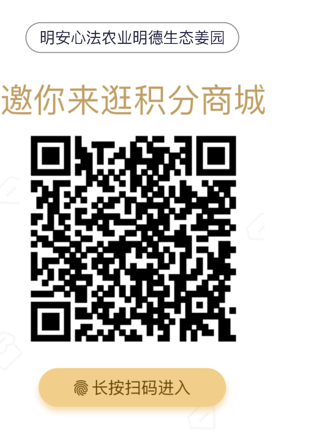 七不姜小黃姜 禮品卡 優惠劵 會員申請 折扣 積分2022年9月