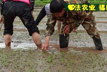 宮頸癌前病變案例 周紅艷48歲 2020年5月開始每天噴兩次姜粉,四個月后檢查正常!-七不姜 生姜養生網-明德CSA生態姜園&明安農業