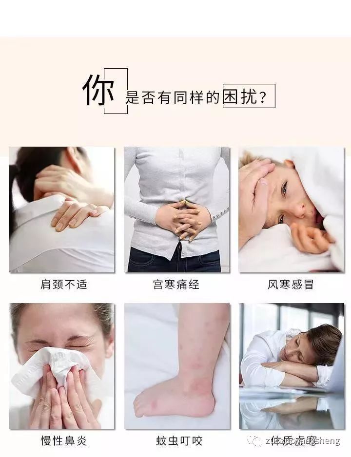 百寒消——改善體質首選，養生防疫必備！