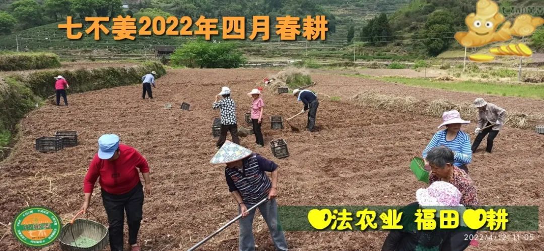 2021年09月19號 張醫師線上課程 “1.提問及答疑;2.診斷與治療(三)”-七不姜 生姜養生網-明德CSA生態姜園&明安農業