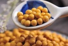 孩子喝姜湯怕辣?有機姜丸——給你純純的愛!-七不姜 生姜養生網-明德CSA生態姜園&明安農業