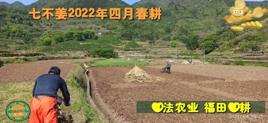 七不姜2022年四月春耕圖