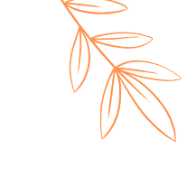 樂清市第24期原始點培訓邀您共赴健康之旅！