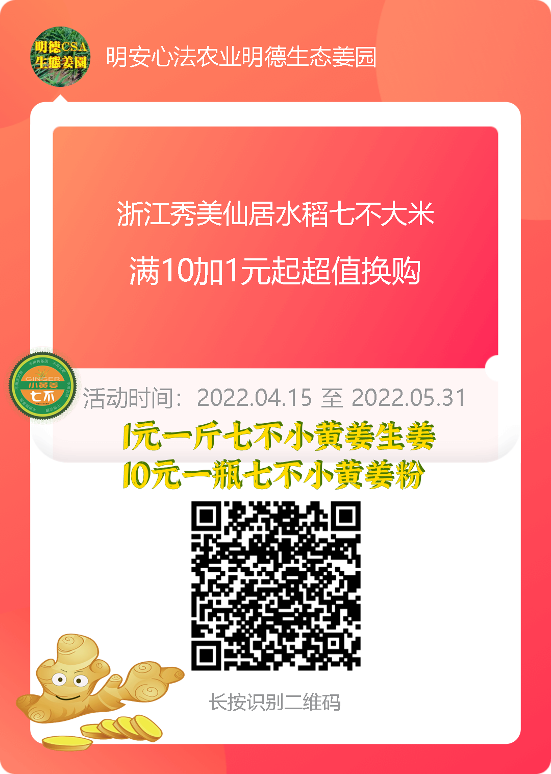 明安農業五月種七不水稻了。六月端午別忘吃粽子。買糯米要七不種植的...自然生態超越有機！七不姜優惠發劵