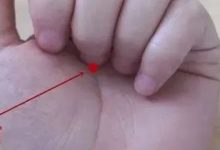 失眠搓腳,早醒揉手,多少失眠都是這么搓好的!-七不姜 生姜養生網-明德CSA生態姜園&明安農業