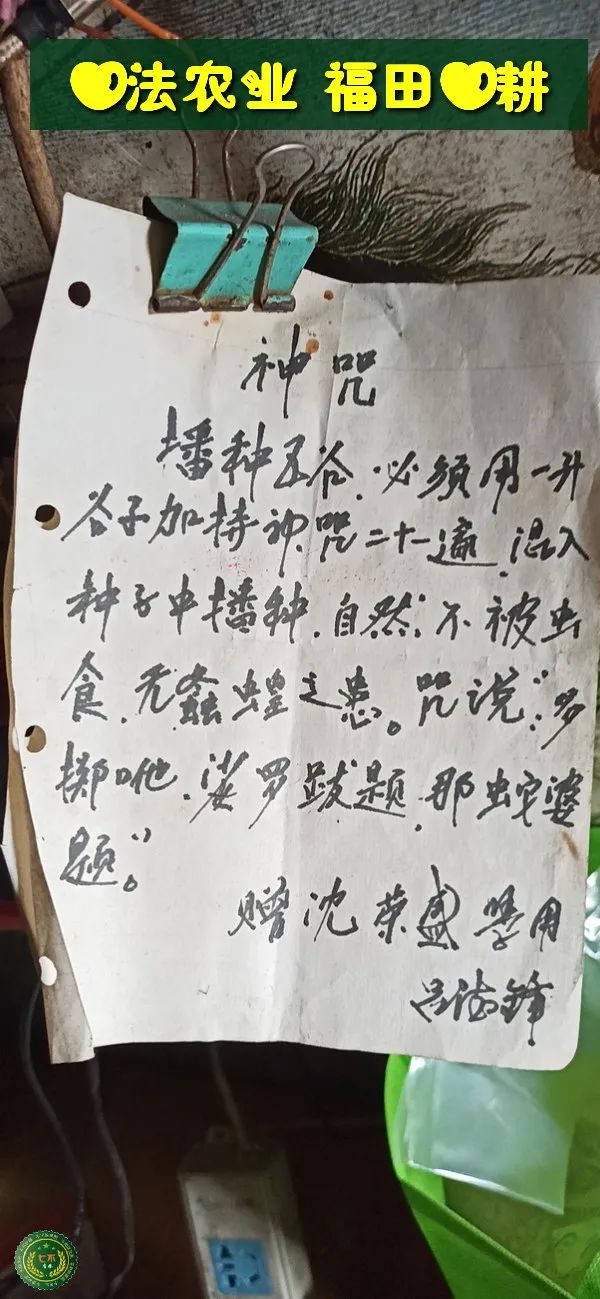慶祝七不水稻 二級優質秈米 中浙優H7新上市-特惠五折預定，限時三天。可選1斤10斤及每月宅配送。