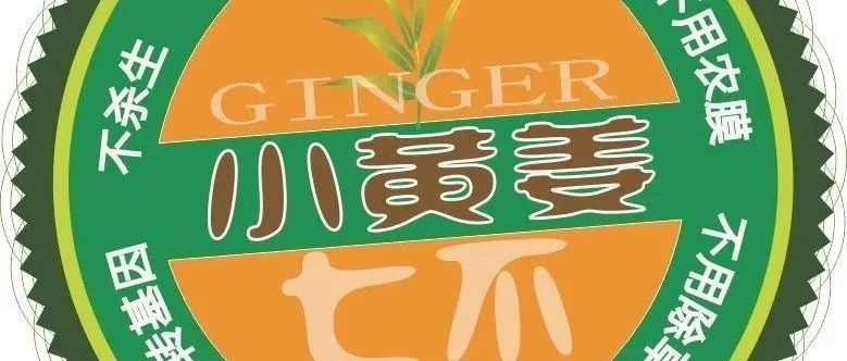 滿50元減25元! 元旦 新年 特別福利大放送!**兩大姜品聯合促銷高品質姜粉 七不生態小黃姜+云南有機姜-七不姜 生姜養生網-明德CSA生態姜園&明安農業