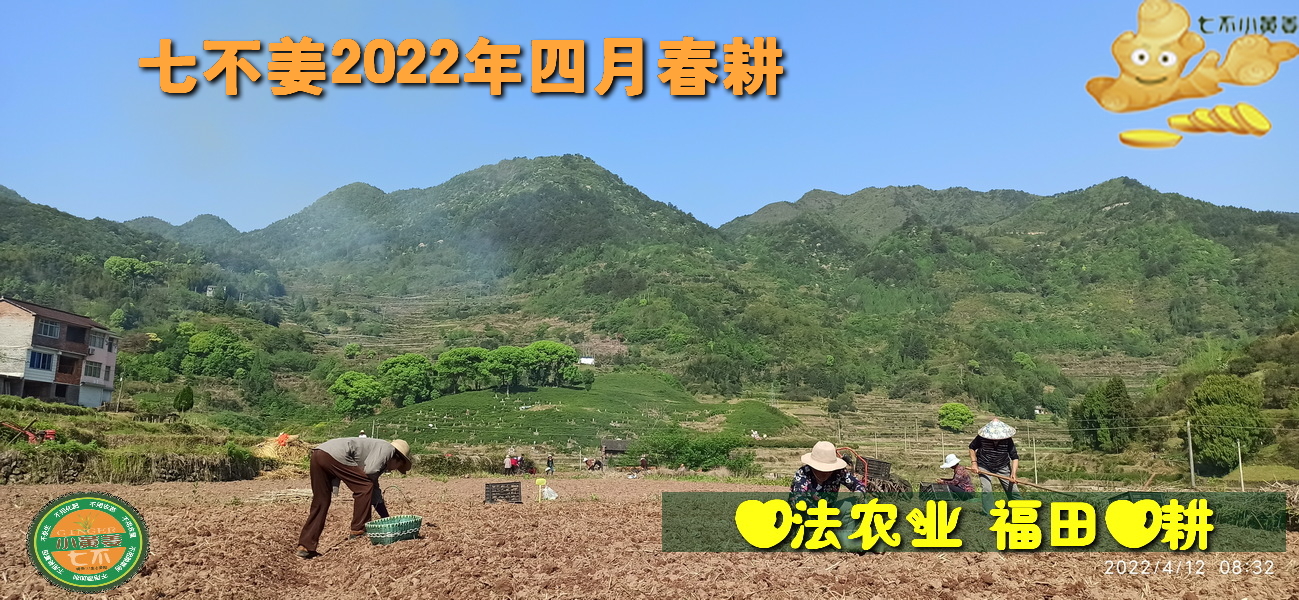 原始點調理兩年多嚴重失眠案例 - 頭頸 五官 - 佛山市愿天下無痛健康管理服務有限公司-七不姜 生姜養生網-明德CSA生態姜園&明安農業