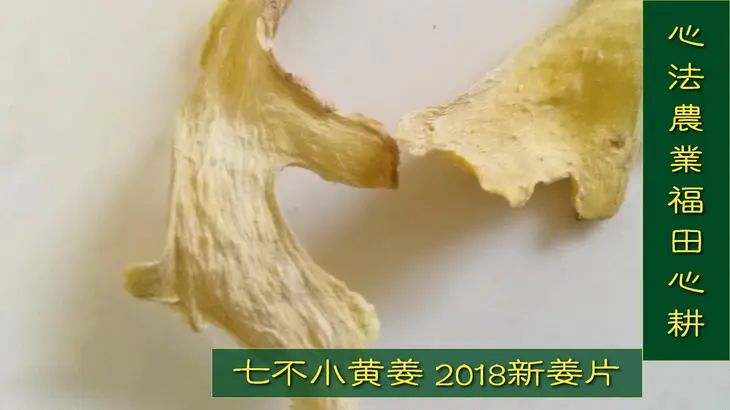 2022年小黃姜春耕開播 姜片姜粉姜丸防疫 安家必備大特惠