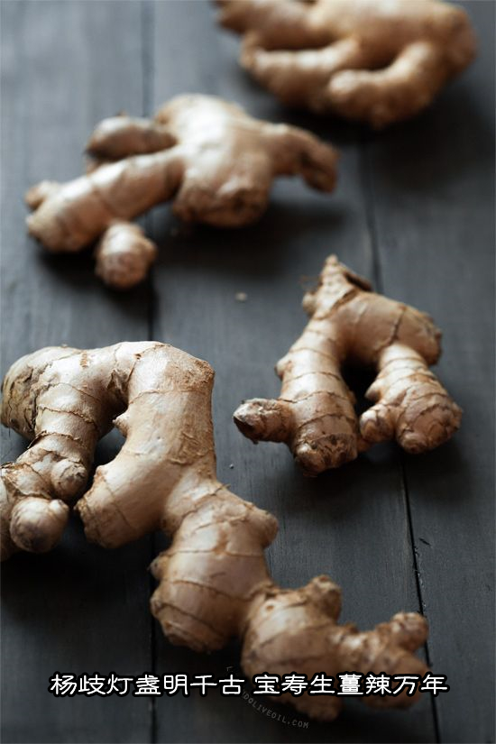 楊歧燈盞明千古,寶壽生姜辣萬年。-七不姜 生姜養生網-明德CSA生態姜園&明安農業