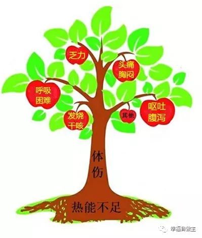 老年病（胃疼，頭常年暈漲，咳嗽，痔瘡，子宮肌瘤）案例