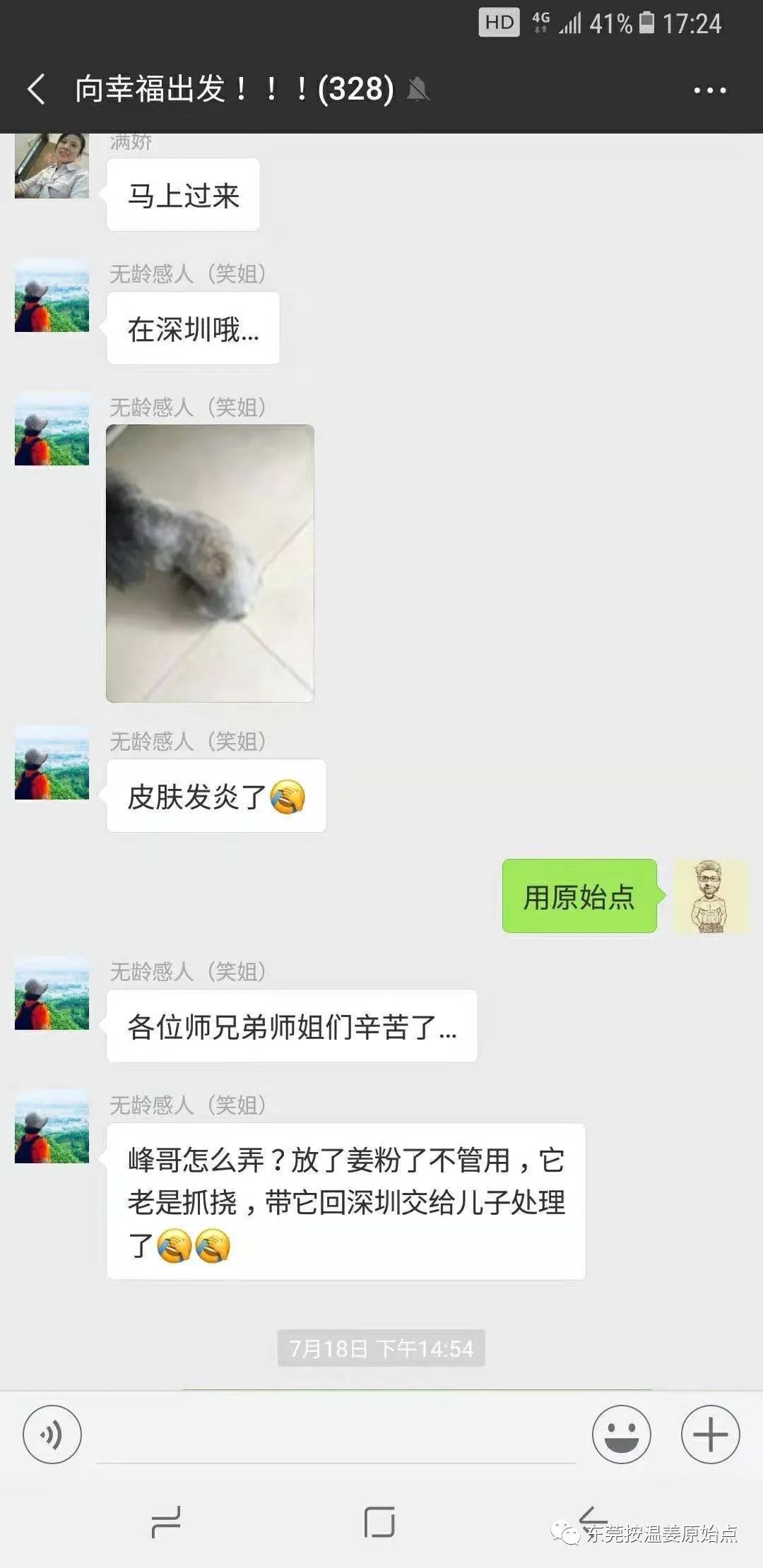 小狗皮膚發炎