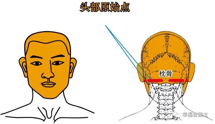 原始點調理頭痛案例合集